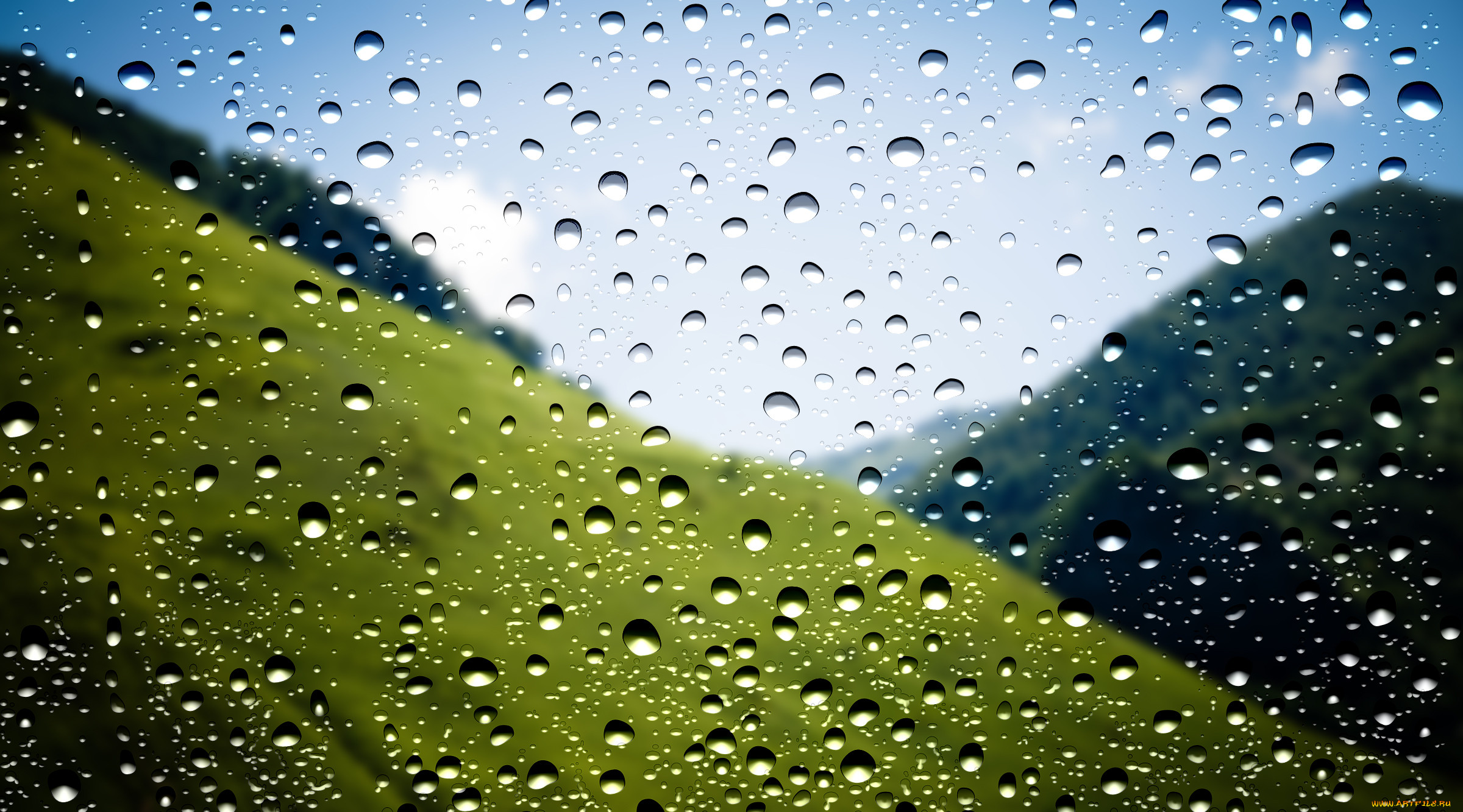 , ,  ,  , makro, window, drops, rain